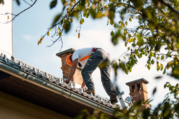 Best Roof Leak Repair  in Grand Marais, MN